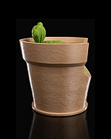 Cactus Vase Wall Light