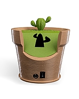 Cactus Vase Wall Light