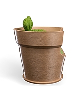 Cactus Vase Wall Light