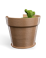 Cactus Vase Wall Light