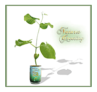 Thank You Nature's Greeting Growing Kit