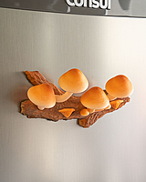 Cap-tivating Magnets