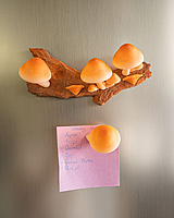 Cap-tivating Magnets