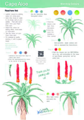 Cape Aloe Instruction Poster