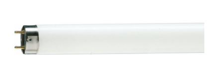Tube Day Light 4Ft 36W Philips (Pack of 25pcs)
