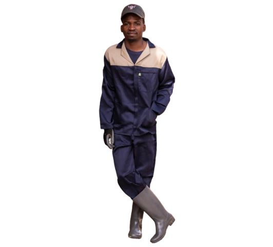 Two Tone Conti Suit