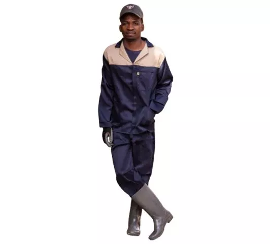 Two Tone Conti Suit