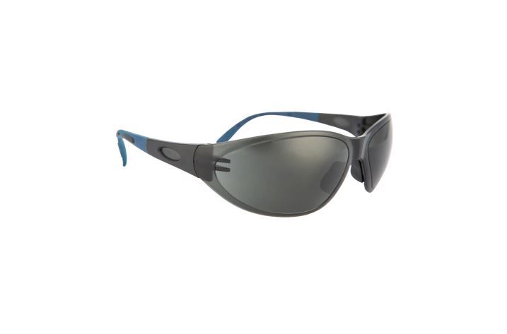 Pioneer Vision Spider Spectacle