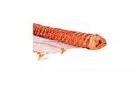 Barrier Netting