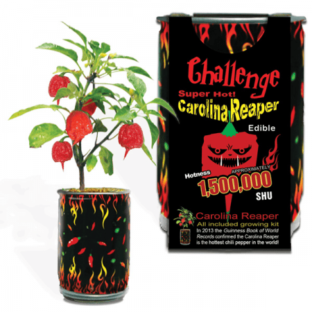 Red Carolina Reaper Growing Kit