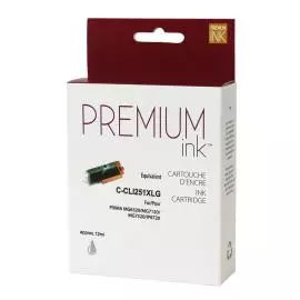 Cartouche Jet d'Encre Canon CLI-251XL Compatible Grey