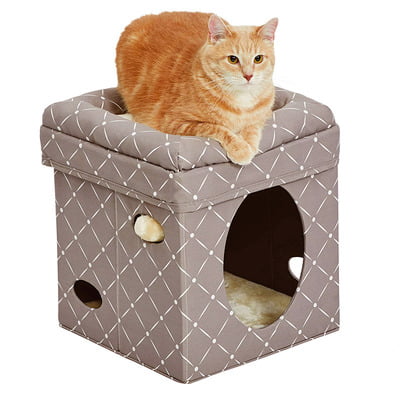Midwest Curious Cat Cube – Mushroom Midwest Curious Cat Cube – Mushroom