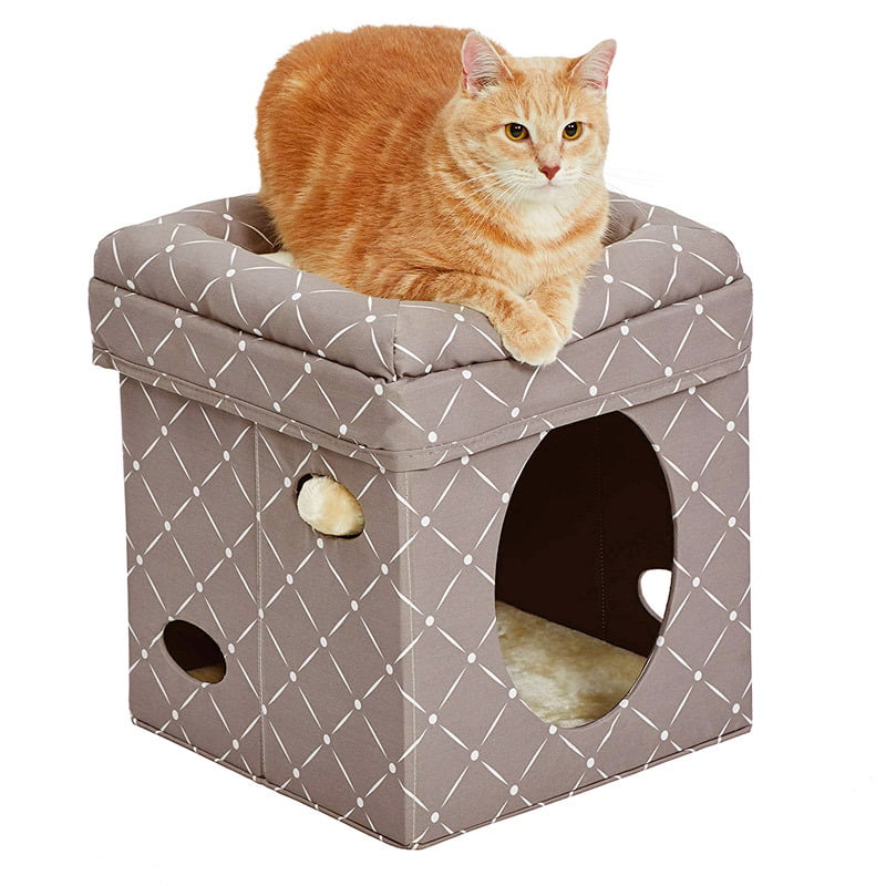 Midwest Curious Cat Cube – Mushroom Midwest Curious Cat Cube – Mushroom