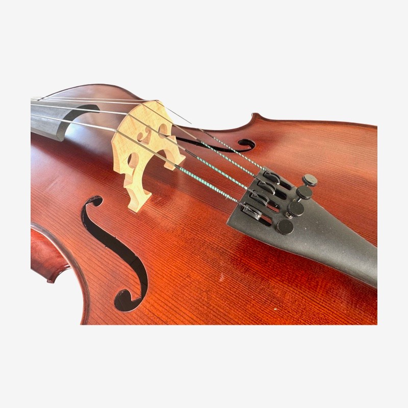 Cello 3/4 Lento model