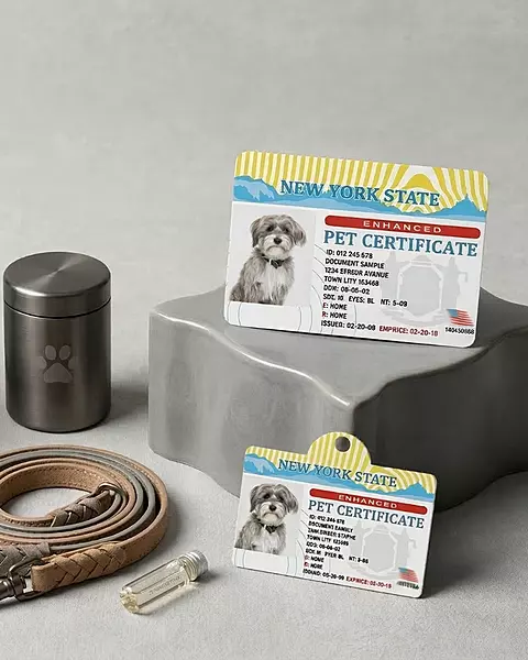 Certificate Tag & Card