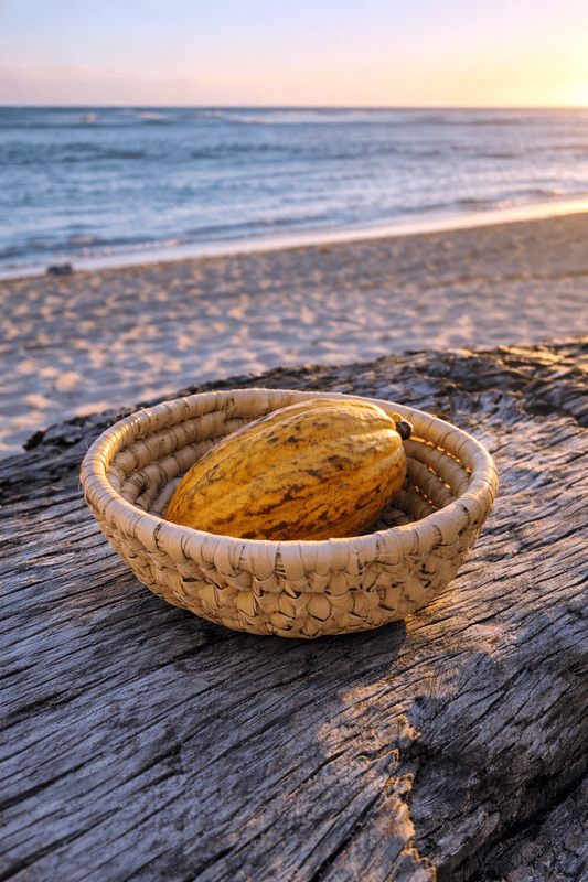 Cesta Caribe Juan Dolio