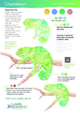 Flap-necked Chameleon Instruction Poster