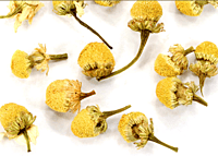 CHAMOMILE ORGANIC - 1OOCT BAG CHAMOMILE ORGANIC - 1OOCT BAG