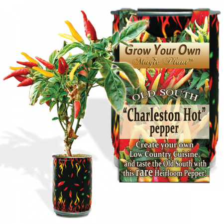 Charleston Hot Pepper Growing Kit