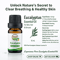 BBM Eucalyptus Oil 10ML