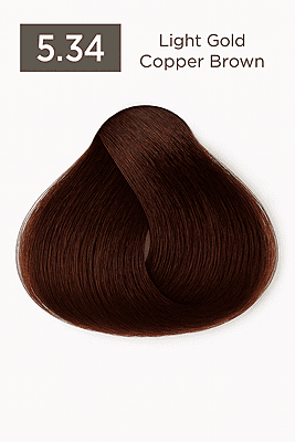 Gold Copper Easy Tech Versum for professional gold copper hair color and gray coverage