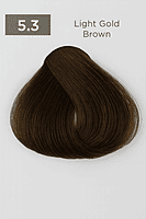 Gold Easy Tech Versum for professional gold hair color and gray coverage Gold Easy Tech Versum for professional gold hair color and gray coverage