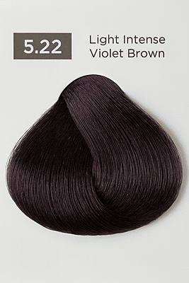 Intense Iridescent Easy Tech Versum for professional iridescent hair color and gray coverage