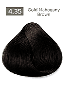 Gold Mahogany Easy Tech Versum for professional gold mahogany hair color and gray coverage Gold Mahogany Easy Tech Versum for professional gold mahogany hair color and gray coverage