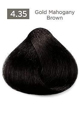 Gold Mahogany Easy Tech Versum for professional gold mahogany hair color and gray coverage