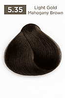 Gold Mahogany Easy Tech Versum for professional gold mahogany hair color and gray coverage Gold Mahogany Easy Tech Versum for professional gold mahogany hair color and gray coverage