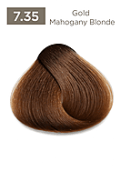 Gold Mahogany Easy Tech Versum for professional gold mahogany hair color and gray coverage Gold Mahogany Easy Tech Versum for professional gold mahogany hair color and gray coverage