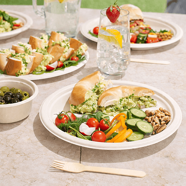 10 Inch Bagasse Plate Round | Eco Disposable Plates | Best For Event