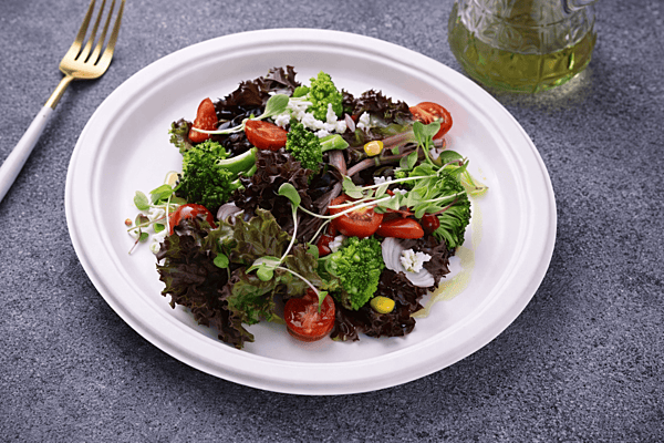 6 Inch Bagasse Plate Round | Mini Plates | Best For Sweets & Sauces