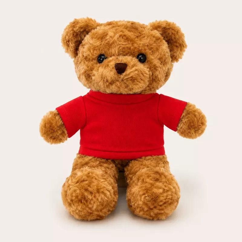 Customized Stuffed Plush Toy Teddy Bear With T-Shirt