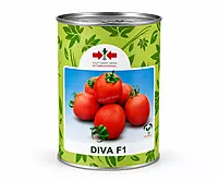 TOMATO DIVA F1