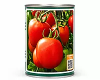 TOMATO COBRA 26 F1