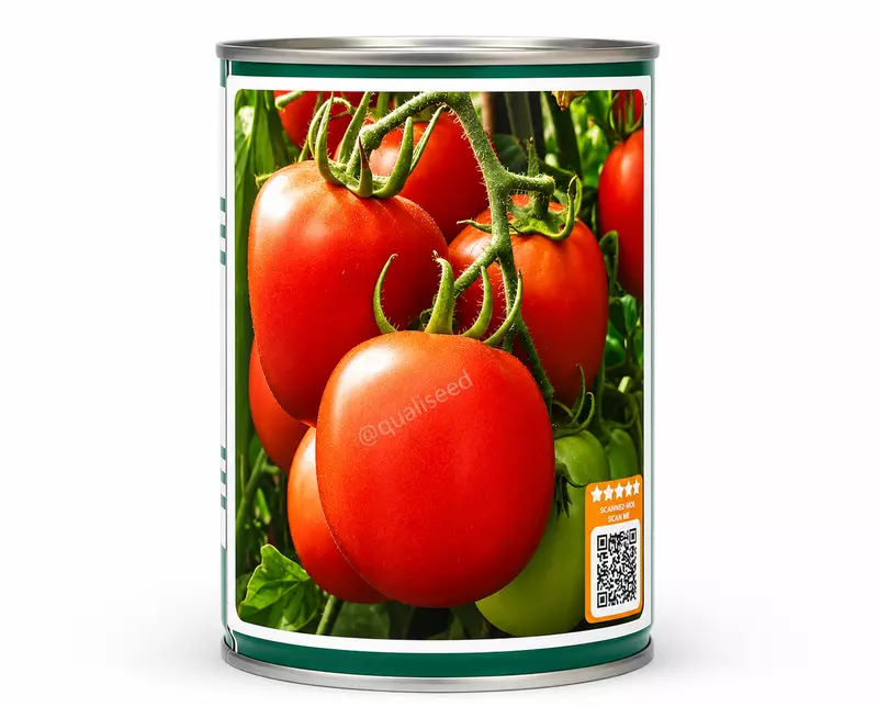 TOMATO COBRA 26 F1