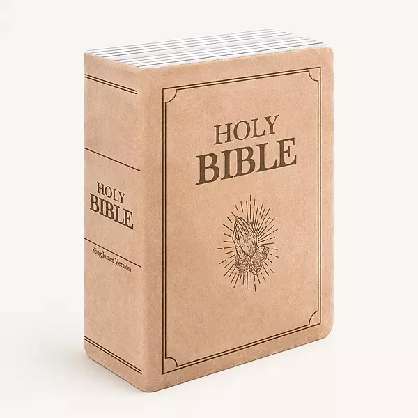 Bible Shaped Plush Pillow
