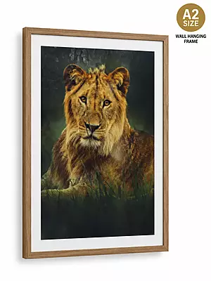 A2 size wall hanging frame