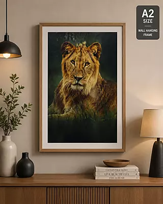 A2 size wall hanging frame