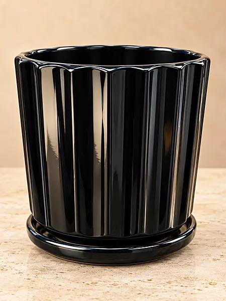 Glossy Black Ceramic Plant Pot