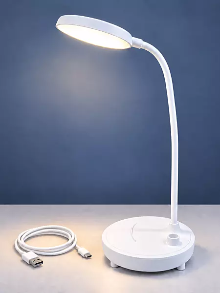 Flexible Neck Lamp with USB-A to Type-C Cable