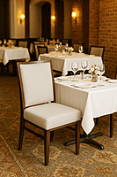 Fab Kashi Dining Chair