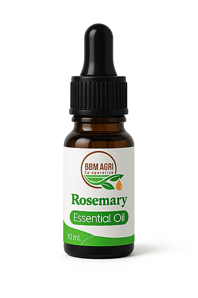 BBM Rosemary Oil 10ML