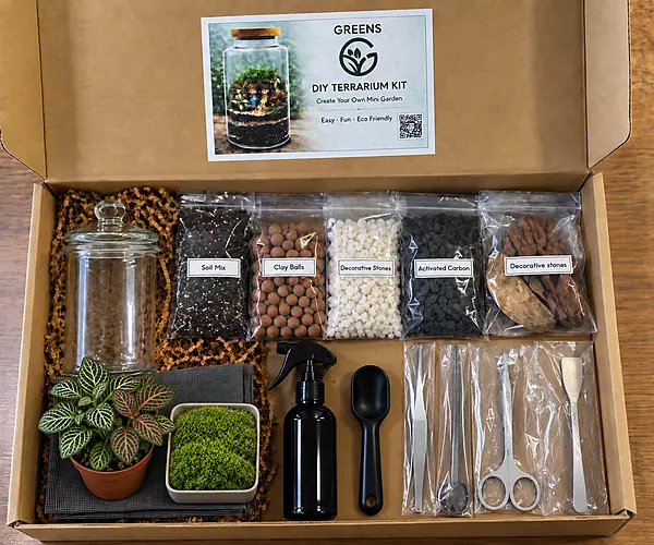 Complete DIY Terrarium Kit