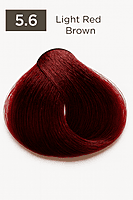 Red Easy Tech Red Easy Tech