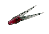 13 Fishing Sneak 13 Fishing Sneak