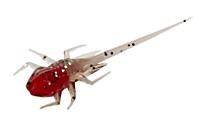 13 Fishing B.A.M.F. 13 Fishing B.A.M.F.