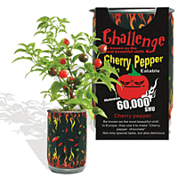 Cherry Pepper Growing Kit