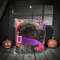 Girls Purple Witch Halloween Costume Child Sz M